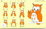 Owl HIBOU Chouette Uil Eule Buho (10) - Águilas & Aves De Presa