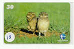 Owl HIBOU Chouette Uil Eule Buho (18) - Eagles & Birds Of Prey