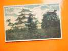 Nagoya Castle Japan Japon Cca 1910-  D2041 - Nagoya