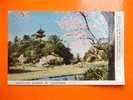 Sankeien Garden Of YOKOHAMA  Japan Japon Cca 1950-65  D2119 - Yokohama