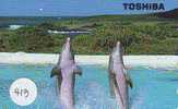 DOLPHIN DAUPHIN Dolfijn DELPHIN Tier Animal (413) - Delfini