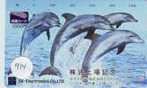 DOLPHIN DAUPHIN Dolfijn DELPHIN Tier Animal (414) - Delfini