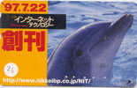 DOLPHIN DAUPHIN Dolfijn DELPHIN Tier Animal (26) - Delphine