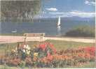 Tutzing Am Starnberger See - Ansichtskarte Unbeschriftet / Postcard Mint (I809) - Tutzing