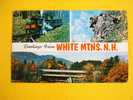 White Mountains New Hampshire USA  1958  Sent To Hungary  D2250 - White Mountains