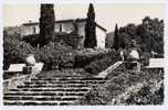 83 - Le Rayol : Escalier Fleuri Conduisant à La Plage - Rayol-Canadel-sur-Mer