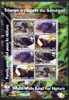 TOGO 2006, WWF, TORTUES TRIONYX A CLAPETS, Feuillet De 2 Séries, Neufs / Mint. R2243 - Schildpadden