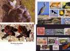 3 Carte De Tortue + Timbres / 3 Card Of Tortoise + Stamps - Schildkröten