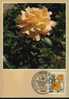 CPJ Allemagne 1982 Fleurs Roses Teehybride - Rozen