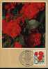 CPJ Allemagne 1982 Fleurs Roses Polyantha Hybride - Rozen