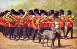 THE IRISH GUARDS WITH THEIR MASCOT  REF1336 - Andere & Zonder Classificatie