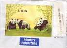 AUSTRIA  2004 - Lettera  Per La Lituania  Fauna - Panda - Cartas & Documentos