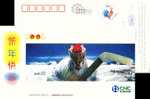 Hockey,bird , Penguin, Bear, Pre-stamped Postcard - Hockey (su Ghiaccio)