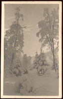 CPA Contre La Lumière Non écrite Paysage De Montagne En Hiver - Halt Gegen Das Licht/Durchscheink.