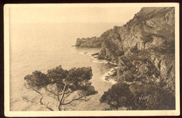 CPA Non écrite 83 Les Iles D'Hyères PORQUEROLLES La Grande Cale - Porquerolles