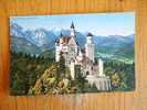 Schloss Neuschwanstein   Cca 1915-  D2533 - Füssen