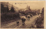 LES HAYONS BOUILLON LES VACHES ET LE CHIEN - Bouillon