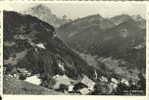 SUISSE - VAUD - GRYONS -474- LES MUVERANS - Gryon