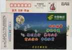 Swan Goose,bird,China 1999 Delong Post Business Advertising Pre-stamped Card,some Yellow Spot On Inverse Side - Oche