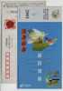 Swan Goose,bird,China 2001 Sanming Post Saving Advertising Pre-stamped Card - Gänsevögel