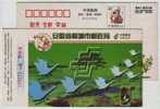 Swan Goose,bird,rabbit Painting,China 1999 Tongcheng Post Business Advertising Pre-stamped Card - Rabbits