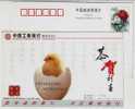 Chicken Hatching From Eggshell,China 2004 Ganzhou Industrial And Commercial Bank Advertising Pre-stamped Card - Farm