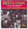 THE NEW VAUDEVILLE BAND  °° WINCHESTER CATHEDRAL - Rock