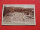 CARTE POSTALE DU VAR 83 / COTE DES MAURES LE RAYOL  LE JARDIN DE LA MER     /    SUPERBE!!!! - Rayol-Canadel-sur-Mer