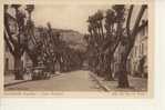 CAVAILLON - Cours Gambetta. - Cavaillon