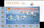 Lake Swan Bird    Postal Stationery,  Pre-stamped Postcard - Cisnes