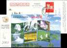 Monkey Crane  Bird Waterfall   Postal Stationery,  Pre-stamped Postcard - Monkeys