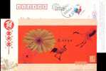 Flower Crane  Bird Postal Stationery,  Pre-stamped Postcard - Cranes And Other Gruiformes