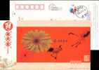 Crane Flower  Bird  Postal Stationery,  Pre-stamped Postcard - Kraanvogels En Kraanvogelachtigen