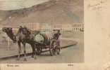 ADEN / WATER CART / DOS NON DIVISE 1907 / - Jemen