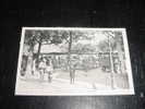 NEUILLY-PLAISANCE LA PLACE DU MARCHE - MARCHAND DE JOURNAUX  - 93 SEINE SAINT DENIS - Carte Postale De France - Neuilly Plaisance