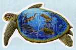 LA TORTUE LUTH  VERTE GROSSE TETE BONNE ECAILLE AQUARIUM DE NOUMEA NOUVELLE CALEDONIE - Schildkröten