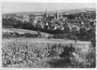 67 ) FL ) WISSEMBOURG, Vue Générale,  CPSM N&B Grand Format, Ed Cigogne - Wissembourg