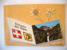 Sallanches - Souvenir Des Alpes  Ed.André -Grenoble Voir Scan - Rhône-Alpes