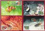 2006 TAIWAN CORAL FISHES MC 4V - Cartes-maximum