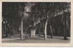 DOURGNE LA PROMENADE  1958 - Dourgne