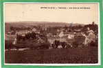 BEYNES -- Panorama - Vue Prise Du Vert Buisson - Beynes