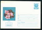 Bulgaria Bulgarie Stationery Entier 1987 Flowers Haberlea Rhodopensis Ramondia Mint/3913 - Covers