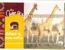 Cpm Pub Girafe Cameroun - Giraffes