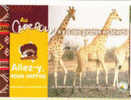 Cpm Pub Girafe Cameroun - Girafes