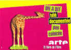 Cpm Pub Girafe - Giraffe