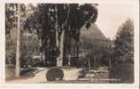 BOGOTA 88 PARQUE DE LA INDEPENDENCIA CP PHOTO 1919 - Colombie