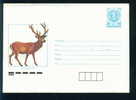 Uco Bulgaria PSE Stationery 1989 Animals DEER  Mint/1836 - Game