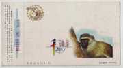 Rare Amimal Golden Money,CN 00 Fujian New Millennium Advertising Pre-stamped Card - Monkeys
