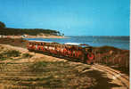 CARTE POSTALE DU PETIT TRAIN DE ST-TROJAN - ILE D OPLERON - Materiale