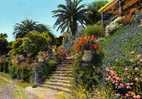 LE RAYOL ESCALIER FLEURI - Rayol-Canadel-sur-Mer